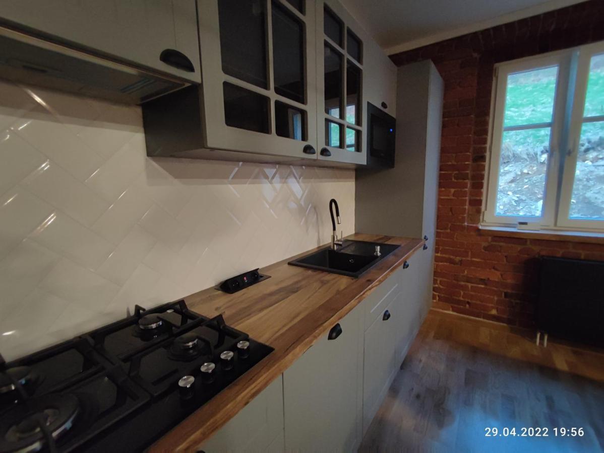 Izerska Weranda - Gorski Apartament 120M2 Swieradow-Zdroj Exterior photo